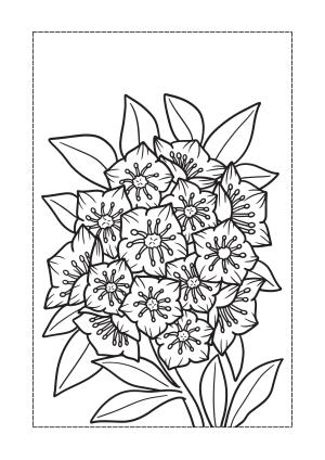 Çiçek boyama sayfası, Flower coloring page, , 