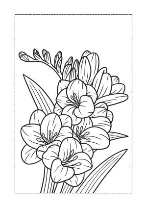 Çiçek boyama sayfası, Flower coloring page, , 