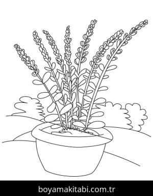 Çiçek boyama sayfası – çizgi film temalı, basit çizim