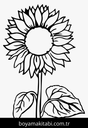 Çiçek boyama sayfası – el becerilerini geliştirir, boyama çalışması