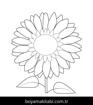 Çiçek boyama sayfası – el becerilerini geliştirir, boyama çalışması