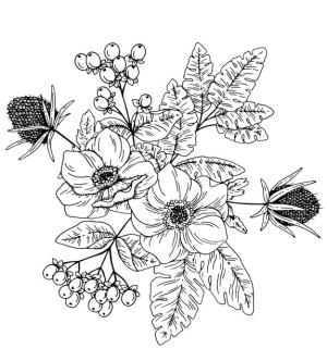 Çiçek boyama sayfası, Flower coloring page, , 