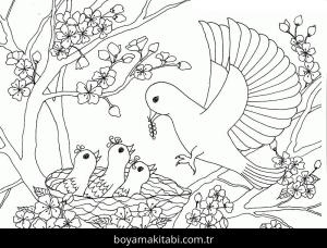 Çiçek boyama sayfası – keyifli zaman, renkli çizimler