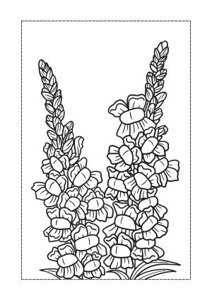 Çiçek boyama sayfası, Flower coloring page, , 