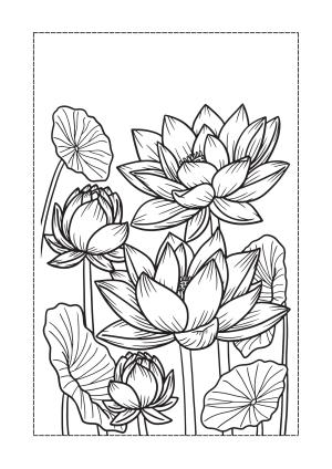 Çiçek boyama sayfası, Flower coloring page, , 