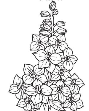 Çiçek boyama sayfası, Flower coloring page, , 