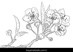 Çiçek boyama sayfası – okul öncesi, evde etkinlik