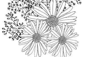 Çiçek boyama sayfası, Flower coloring page, İnanılmaz Çiçek, 