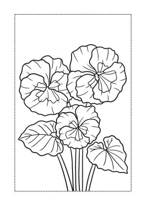 Çiçek boyama sayfası, Flower coloring page, , 