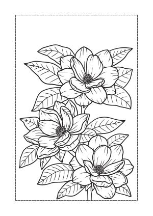 Çiçek boyama sayfası, Flower coloring page, , 