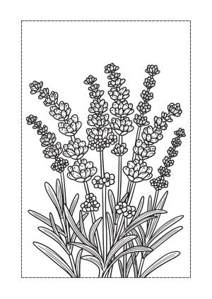 Çiçek boyama sayfası, Flower coloring page, , 