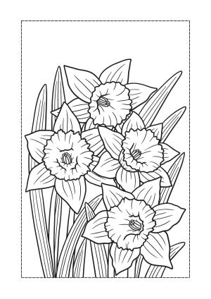 Çiçek boyama sayfası, Flower coloring page, , 