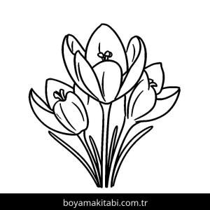 Çiçek boyama sayfası – boyama çalışması, yaratıcılığı geliştirir