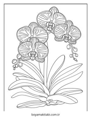 Çiçek boyama sayfası – basit çizim, kolay boyama