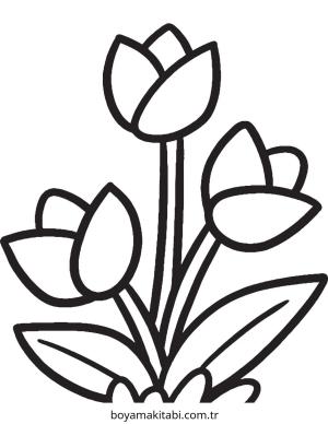 Çiçek Boyama