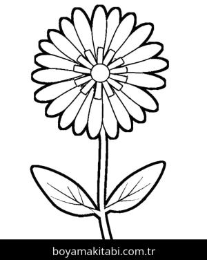 Çiçek Boyama