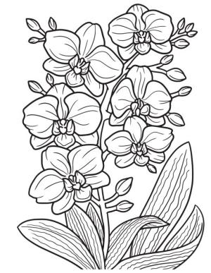 Çiçek boyama sayfası, Flower coloring page, , 