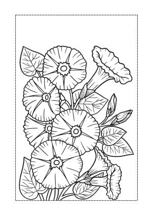 Çiçek boyama sayfası, Flower coloring page, , 