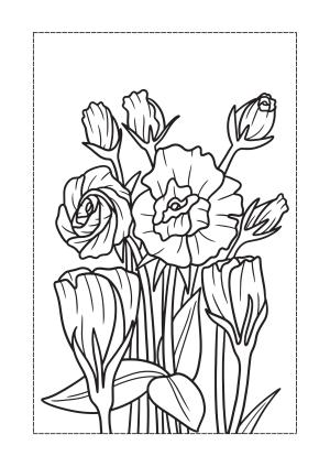 Çiçek boyama sayfası, Flower coloring page, , 