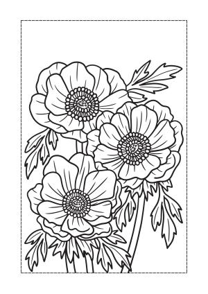 Çiçek boyama sayfası, Flower coloring page, , 