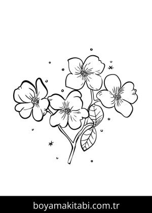 Çiçek Boyama