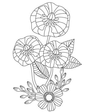 Çiçek boyama sayfası, Flower coloring page, , 