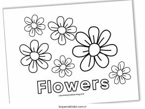 Çiçek Boyama