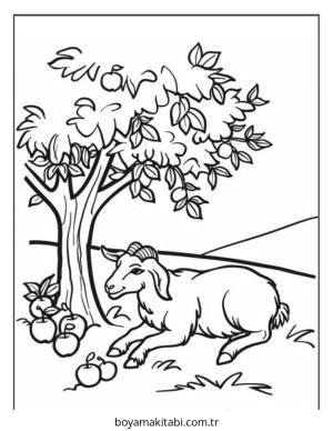 Çiftlik Hayvanları boyama sayfası – boyama etkinliği, çocuk aktivitesi