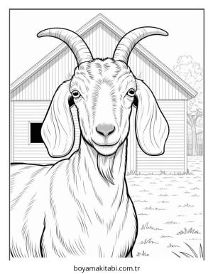 Çiftlik Hayvanları boyama sayfası – boyama çalışması, yaratıcılığı geliştirir
