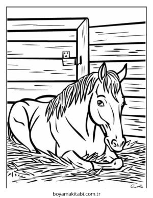 Çiftlik Hayvanları boyama sayfası – eğitici aktivite, yaratıcılık