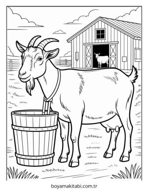 Çiftlik Hayvanları boyama sayfası – renkli çizimler, okul öncesi