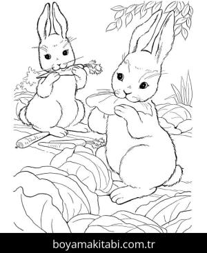 Çiftlik boyama sayfası,  coloring page, , Bunny Rabbit