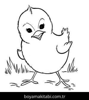 Çiftlik boyama sayfası,  coloring page, , Baby Farm Animal