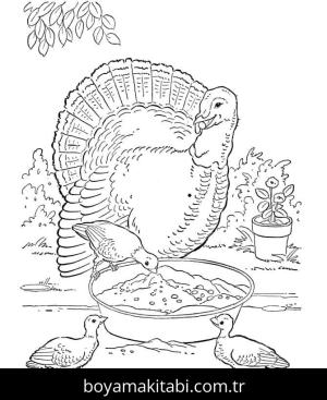 Çiftlik boyama sayfası,  coloring page, , Turkey Farm Animal