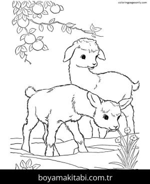 Çiftlik boyama sayfası,  coloring page, , Goats Farm Animal