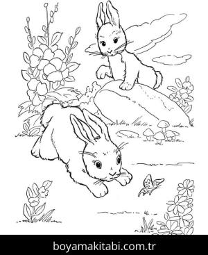 Çiftlik boyama sayfası,  coloring page, , Rabbit Bunny Farm Animal