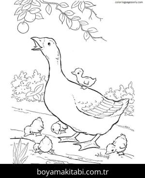 Çiftlik boyama sayfası,  coloring page, , Goose Farm Animal