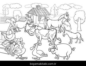 Çiftlik boyama sayfası,  coloring page, , Farm Animal 6