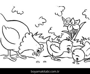 Çiftlik boyama sayfası,  coloring page, , Chickens Farm