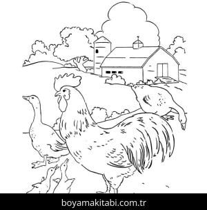 Çiftlik boyama sayfası,  coloring page, , Farm Scene