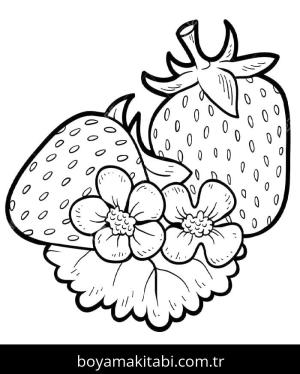 Çilek boyama sayfası – sanatsal çalışma, çocuklar için