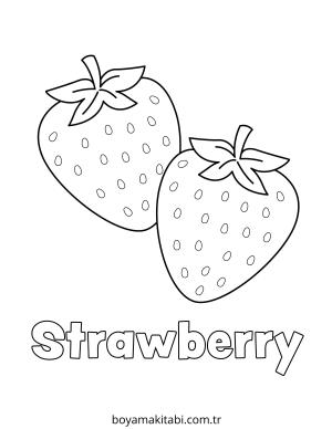 Çilek Boyama
