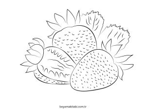 Çilek Boyama
