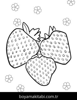 Çilek boyama sayfası – okul öncesi, evde etkinlik