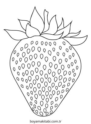 Çilek Boyama
