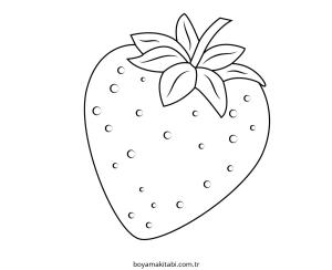 Çilek Boyama