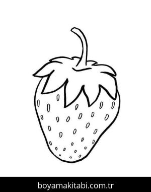 Çilek boyama sayfası – çizgi film temalı, basit çizim