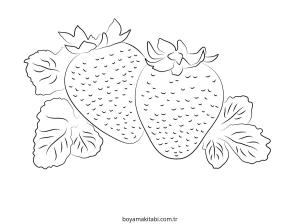 Çilek Boyama