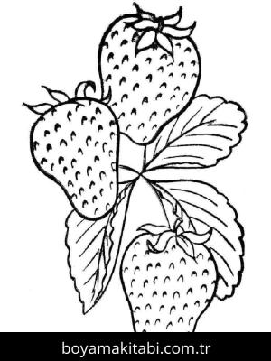 Çilek boyama sayfası – boyama etkinliği, çocuk aktivitesi