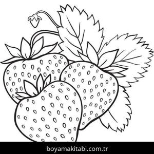 Çilek boyama sayfası – eğlenceli etkinlik, el becerilerini geliştirir